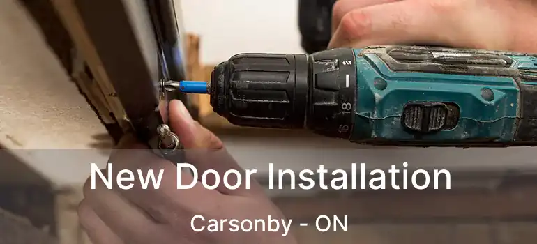  New Door Installation Carsonby - ON