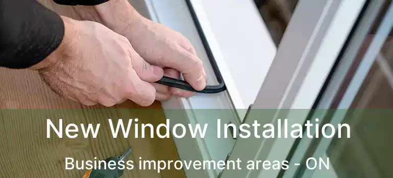  New Window Installation Business improvement areas - ON