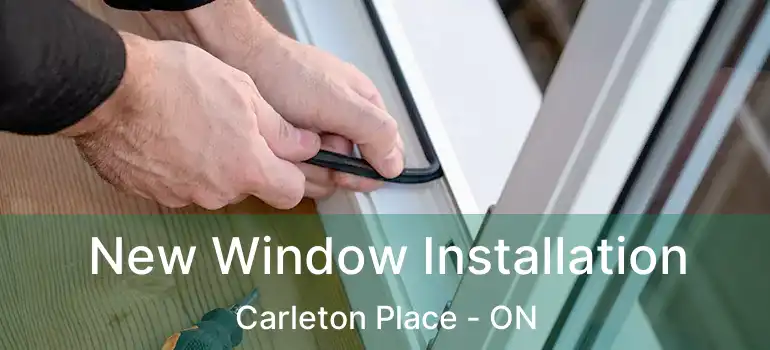  New Window Installation Carleton Place - ON