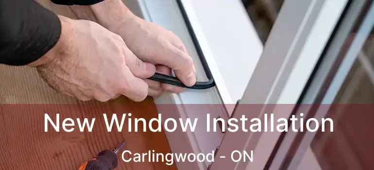  New Window Installation Carlingwood - ON