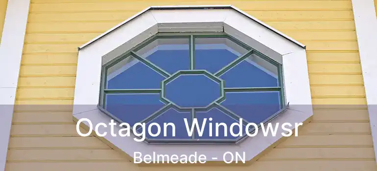  Octagon Windowsr Belmeade - ON