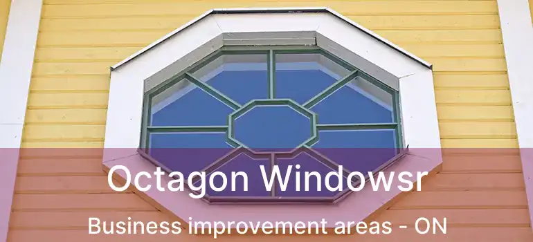  Octagon Windowsr Business improvement areas - ON