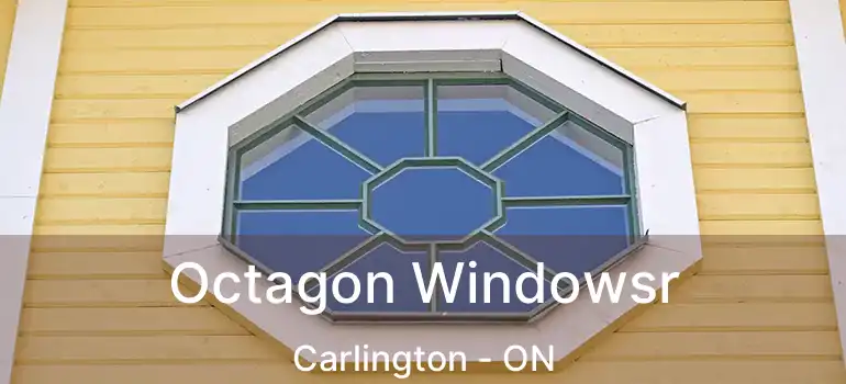  Octagon Windowsr Carlington - ON