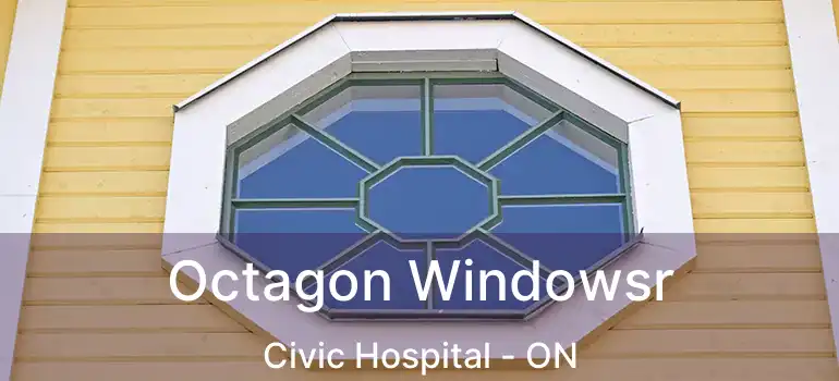  Octagon Windowsr Civic Hospital - ON