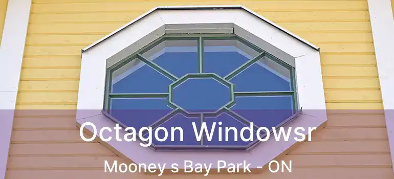  Octagon Windowsr Mooney s Bay Park - ON