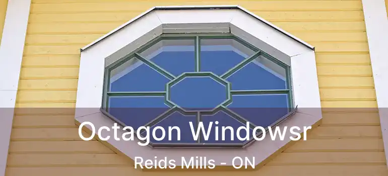  Octagon Windowsr Reids Mills - ON