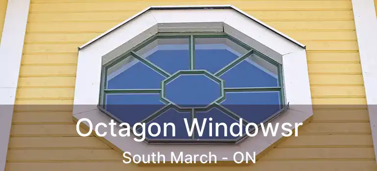  Octagon Windowsr South March - ON