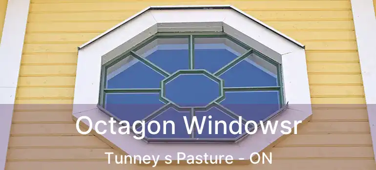  Octagon Windowsr Tunney s Pasture - ON