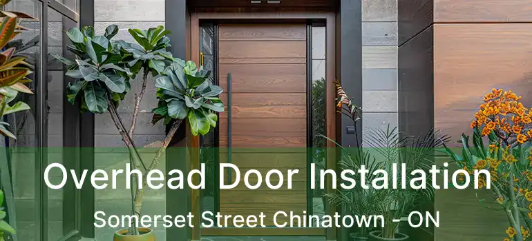  Overhead Door Installation Somerset Street Chinatown - ON