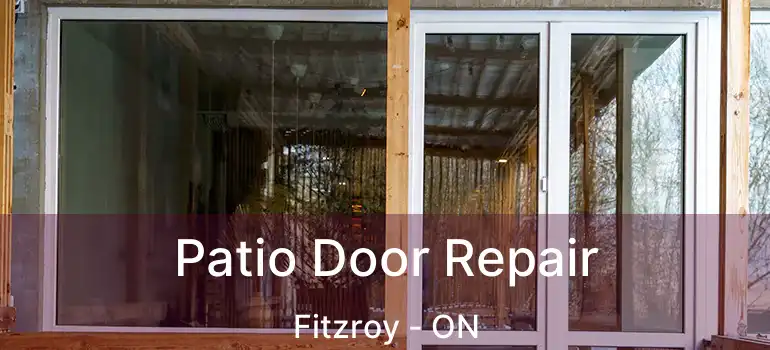  Patio Door Repair Fitzroy - ON