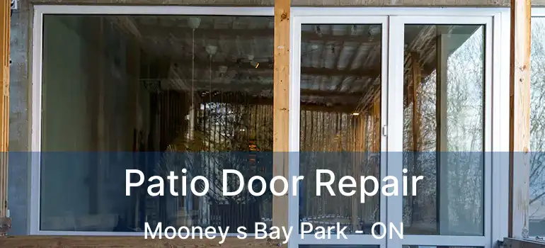  Patio Door Repair Mooney s Bay Park - ON