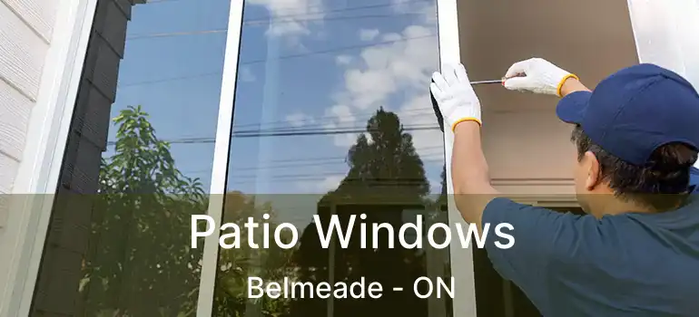  Patio Windows Belmeade - ON