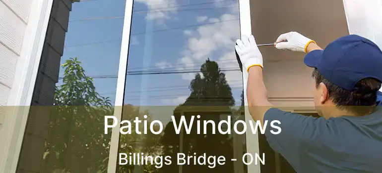  Patio Windows Billings Bridge - ON