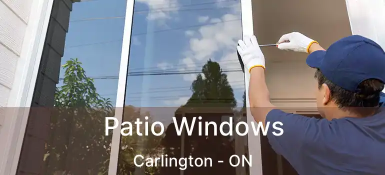  Patio Windows Carlington - ON