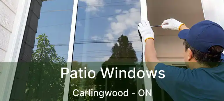  Patio Windows Carlingwood - ON