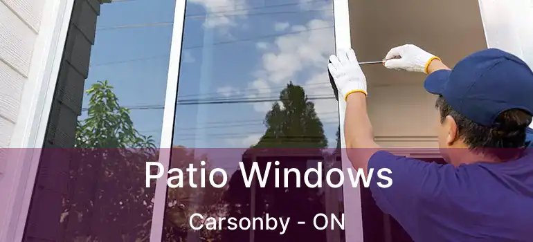  Patio Windows Carsonby - ON