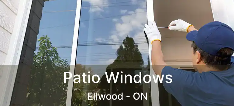  Patio Windows Ellwood - ON