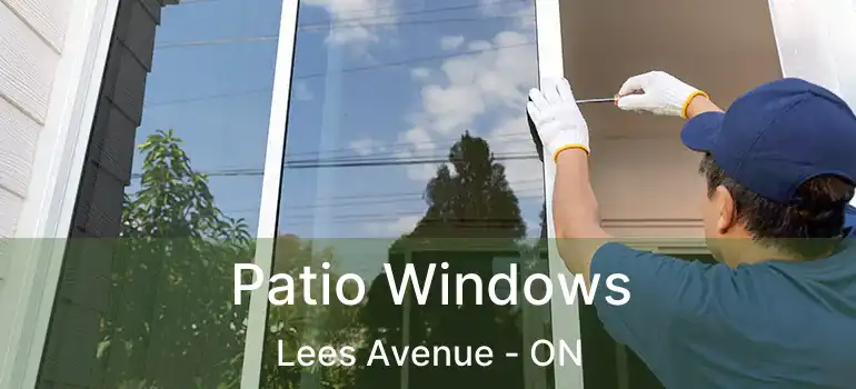  Patio Windows Lees Avenue - ON