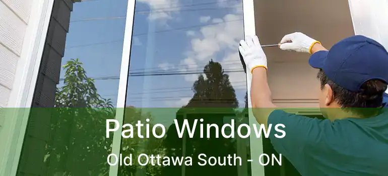  Patio Windows Old Ottawa South - ON