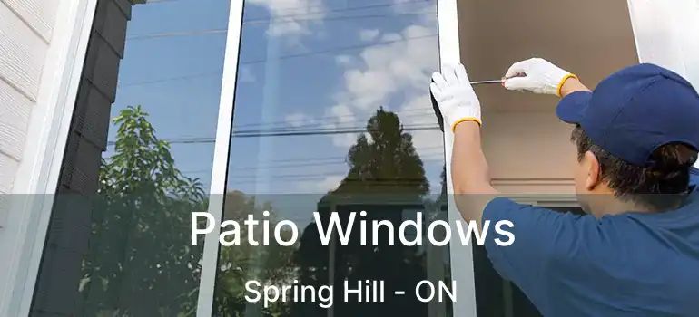  Patio Windows Spring Hill - ON