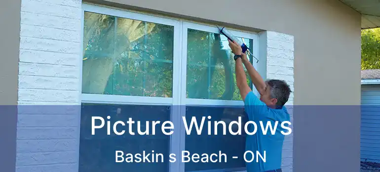  Picture Windows Baskin s Beach - ON