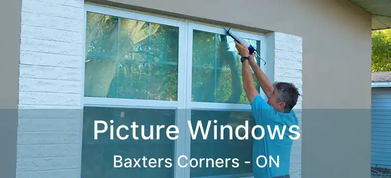  Picture Windows Baxters Corners - ON