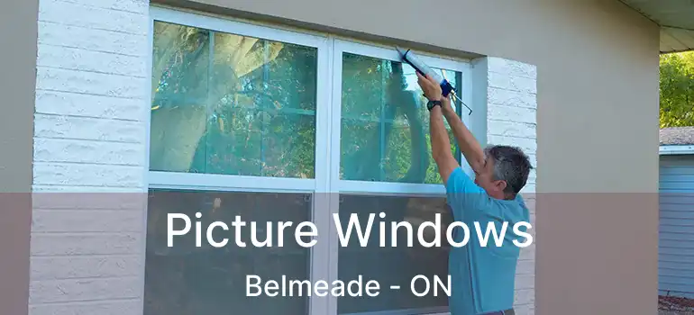  Picture Windows Belmeade - ON