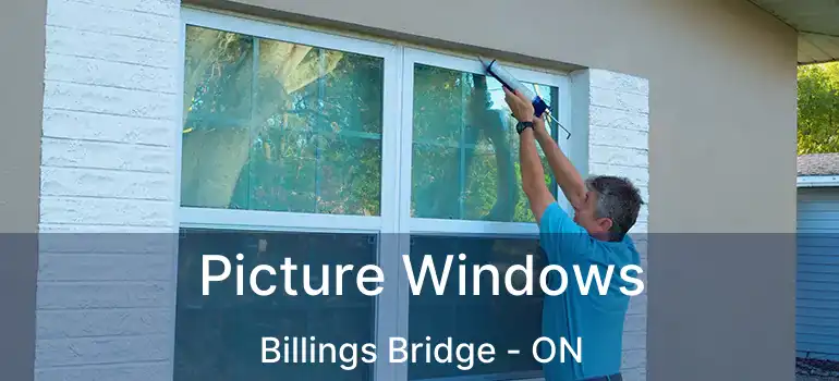  Picture Windows Billings Bridge - ON