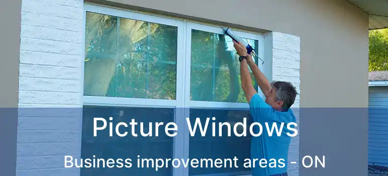  Picture Windows Business improvement areas - ON