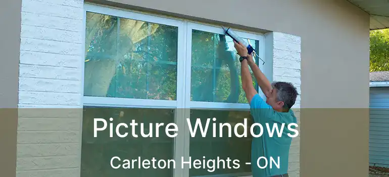  Picture Windows Carleton Heights - ON