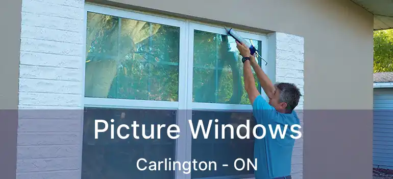  Picture Windows Carlington - ON