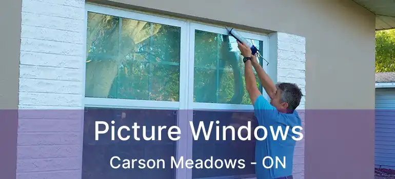  Picture Windows Carson Meadows - ON