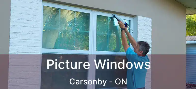  Picture Windows Carsonby - ON