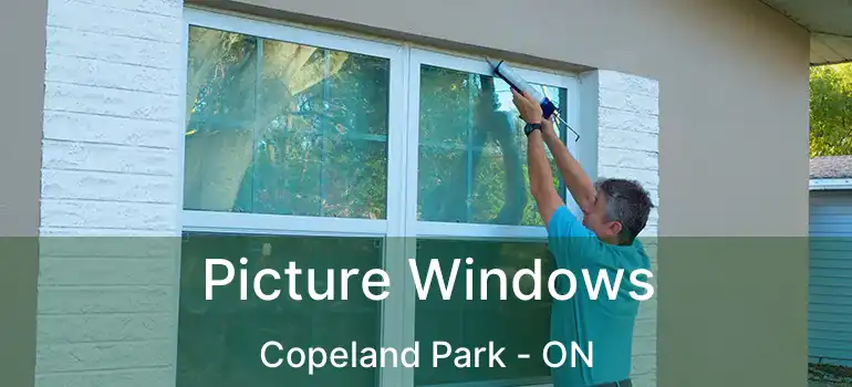  Picture Windows Copeland Park - ON