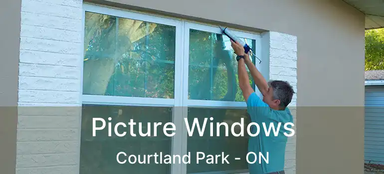  Picture Windows Courtland Park - ON