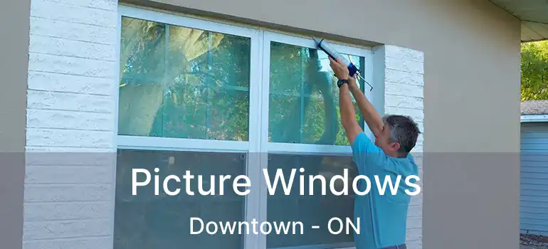  Picture Windows Downtown - ON