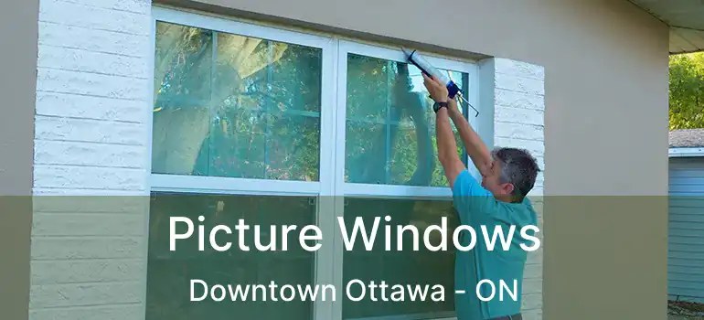  Picture Windows Downtown Ottawa - ON