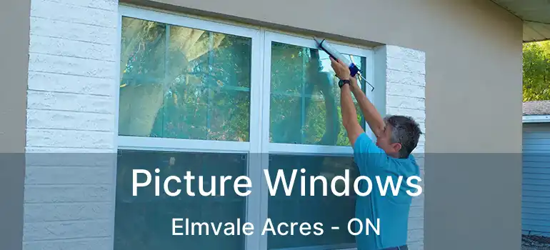  Picture Windows Elmvale Acres - ON