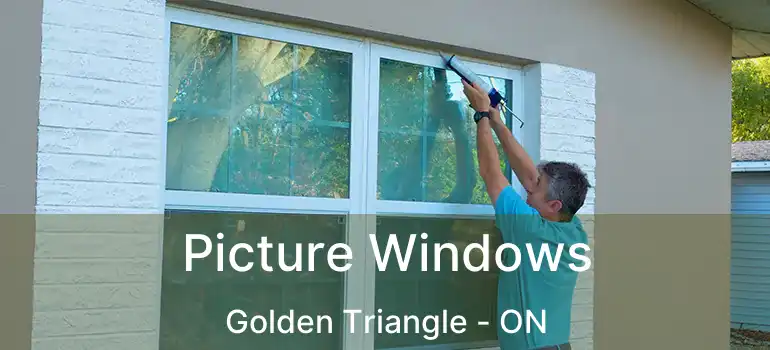  Picture Windows Golden Triangle - ON