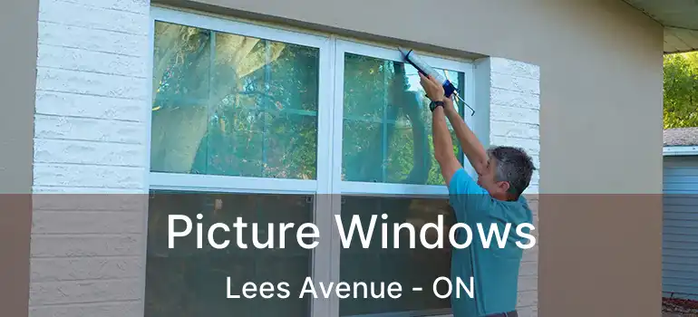  Picture Windows Lees Avenue - ON