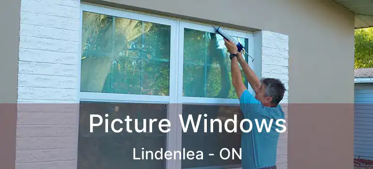  Picture Windows Lindenlea - ON