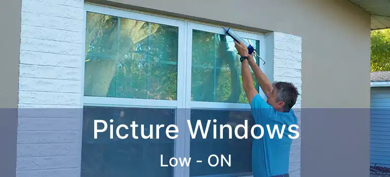  Picture Windows Low - ON