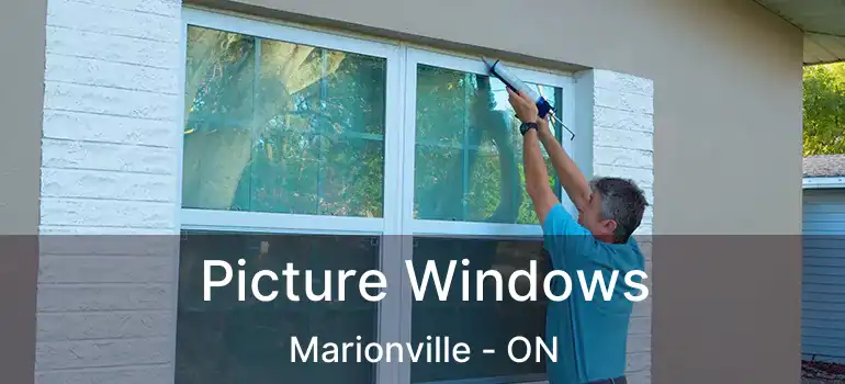  Picture Windows Marionville - ON