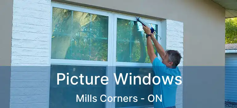  Picture Windows Mills Corners - ON