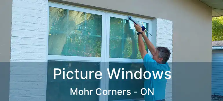  Picture Windows Mohr Corners - ON