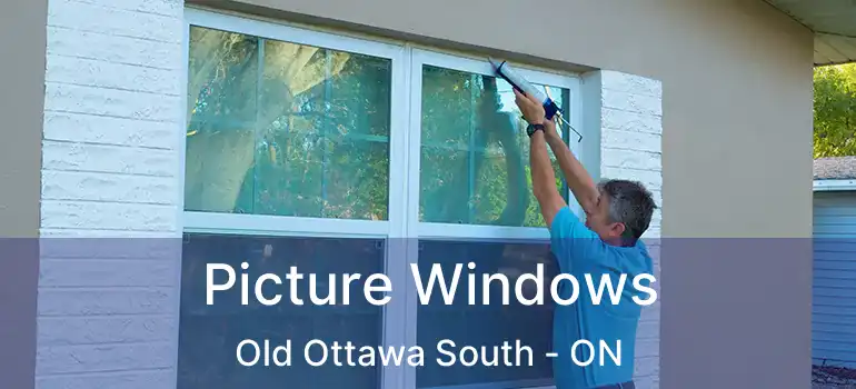  Picture Windows Old Ottawa South - ON