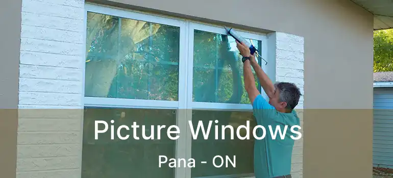  Picture Windows Pana - ON