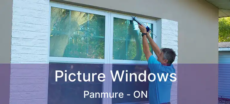  Picture Windows Panmure - ON