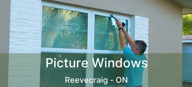  Picture Windows Reevecraig - ON