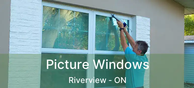  Picture Windows Riverview - ON